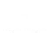 Electric Asset Inc. logo